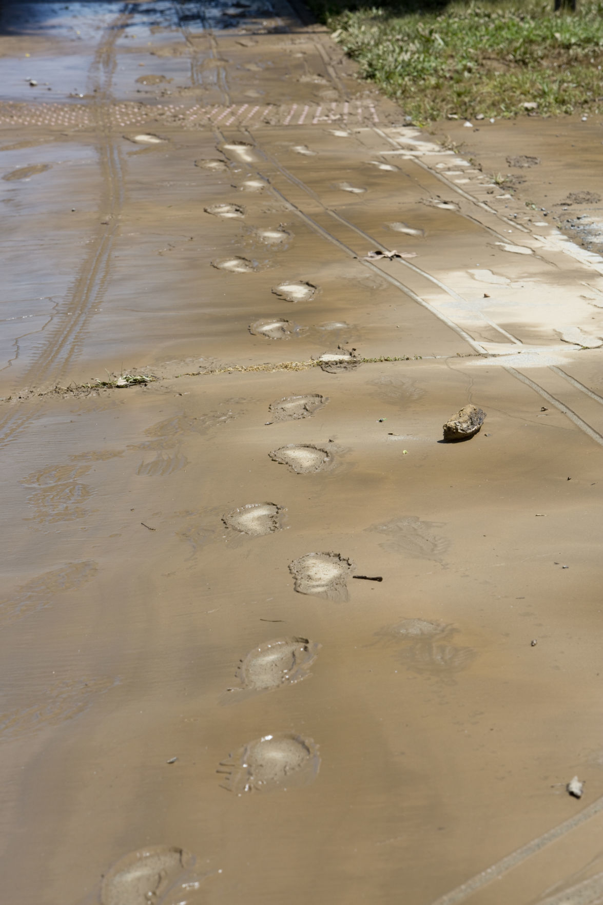 skd aftertheflooding 052220 p02
